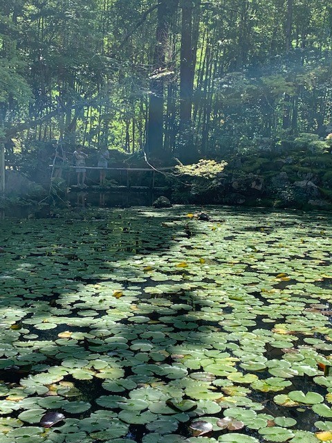 2019年9月17日天授庵