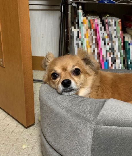 2019年12月24日とら2