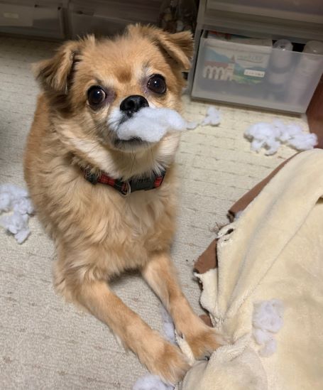 2020年12月14日感じ