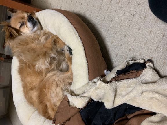 2021年2月28日とら