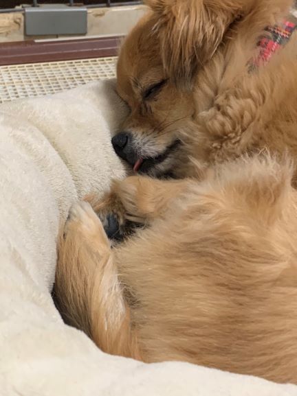 2021年5月14日トラ