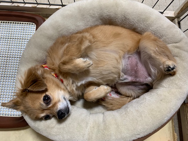 2021年12月9日とら