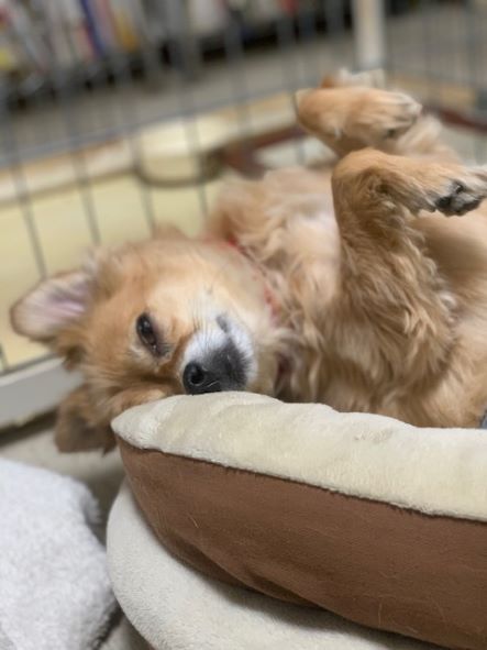 2022年1月27日とら