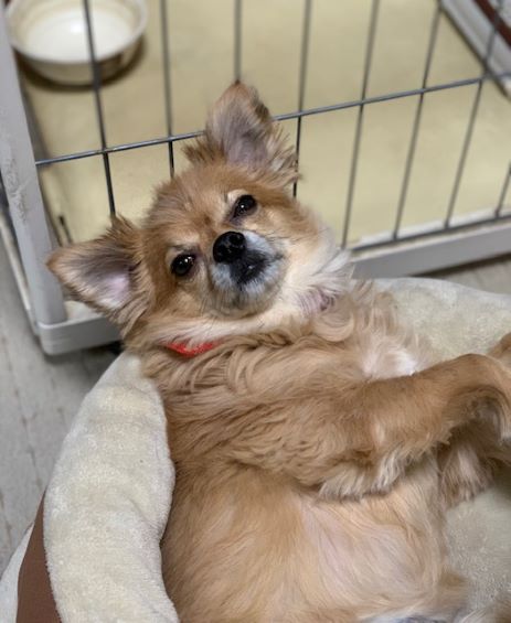 2022年1月9日とら