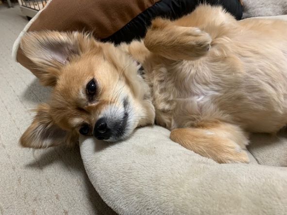 2022年4月24日とら