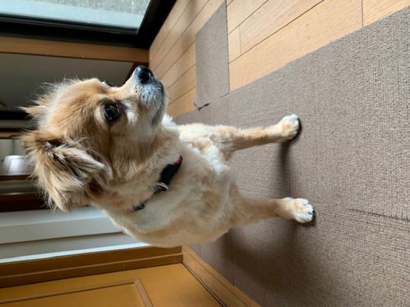 2022年4月28日とら