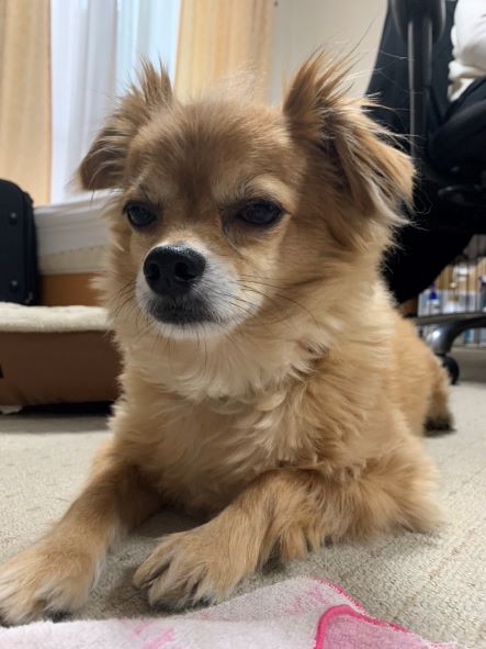 2022年5月29日とら