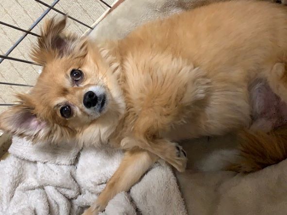 2022年5月23日とら