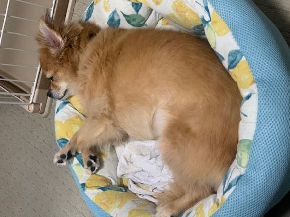 2022年10月28日とら