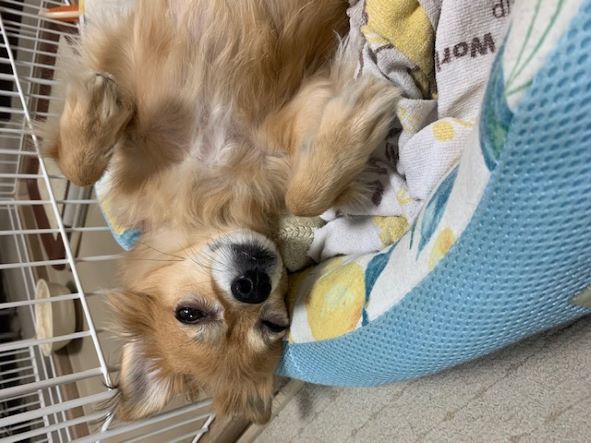 2022年10月6日とら