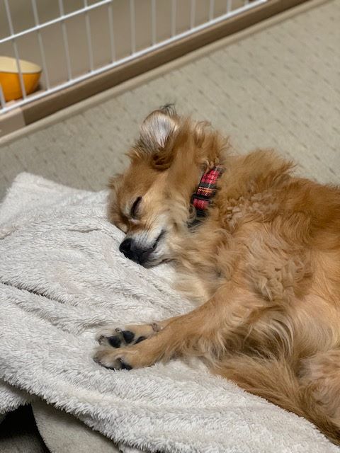 2022年12月28日とら