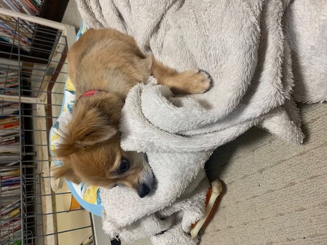 2023年1月23日とら