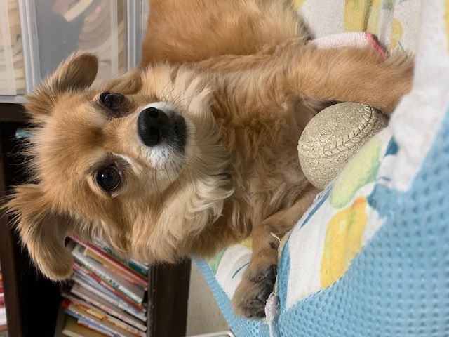 2023年2月26日とら