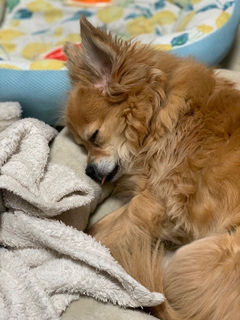 2023年3月12日とら