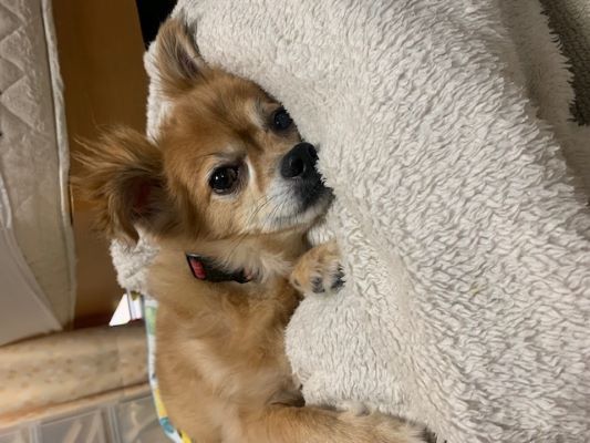 2023年10月1日とら