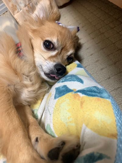 2023年11月27日とら