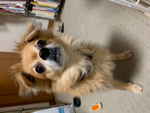 2023年11月19日とら