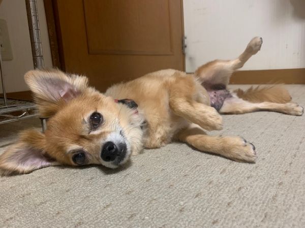 2024年1月28日とら