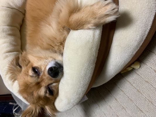 2024年1月27日とら