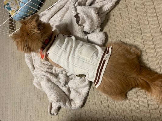 2024年1月21日とら