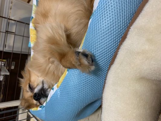 2024年2月2にちとら