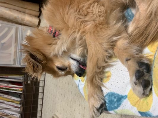 2024年3月6日とら