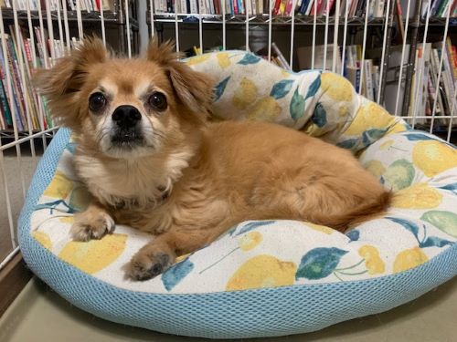 2024年6月14日とら