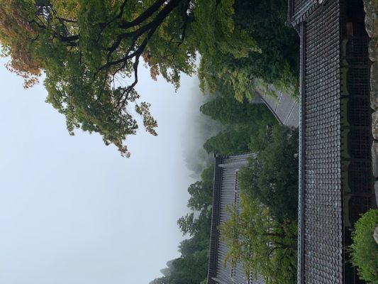 2024年10月5日福井永平寺2