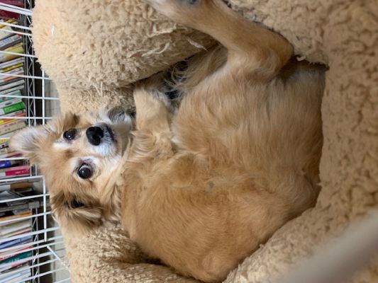 2025年2月28日とら